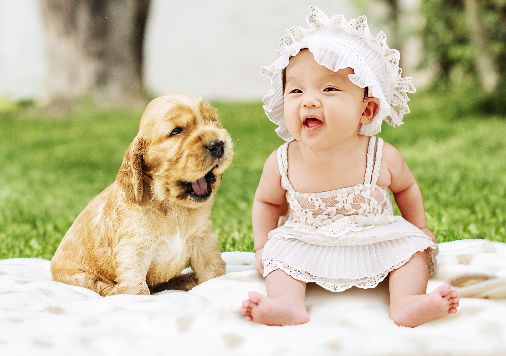 pies a dziecko